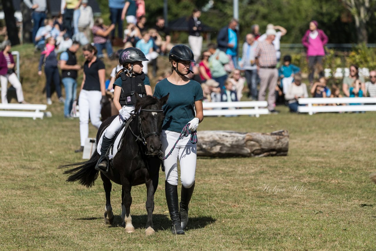 Bild 6 - Pony Akademie Turnier